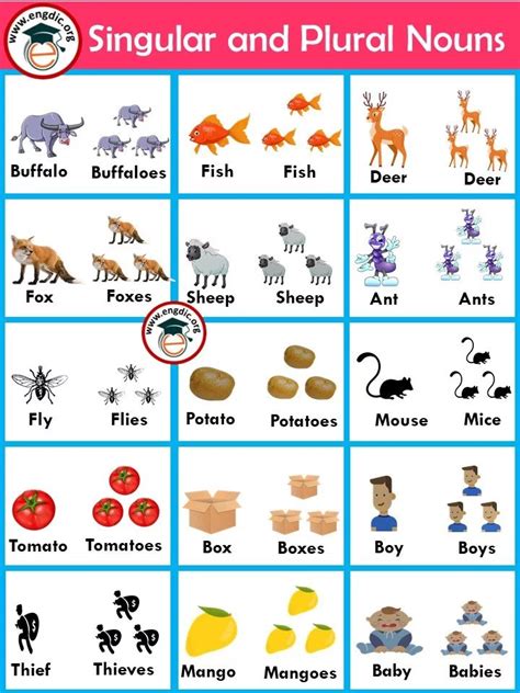 list of singular and plural nouns.